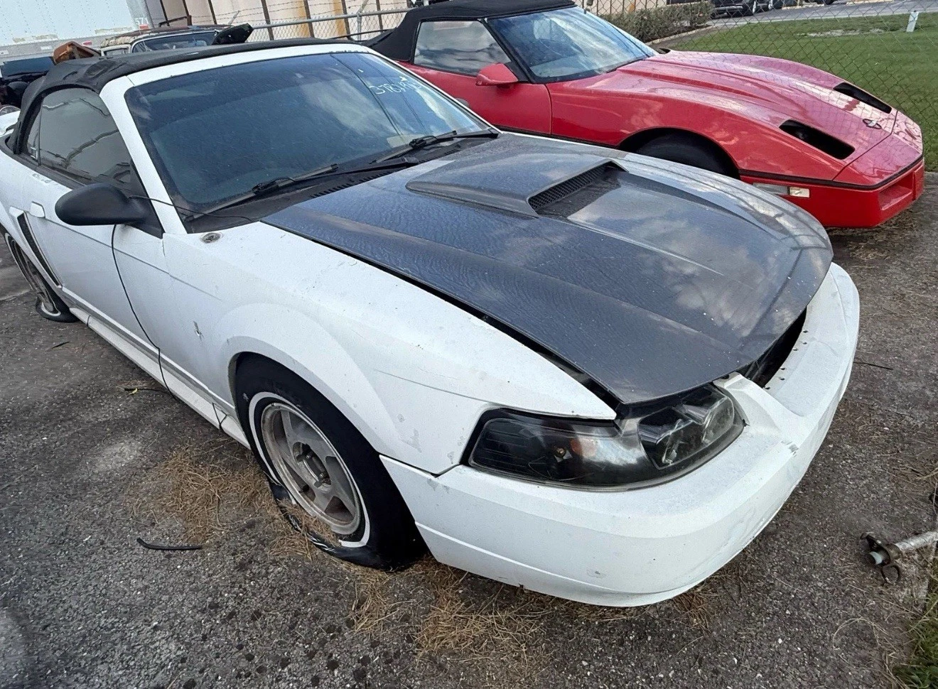 1999-2004 Ford Mustang GT OEM Parts Part Out Complete Car Ask For Parts - Image 2
