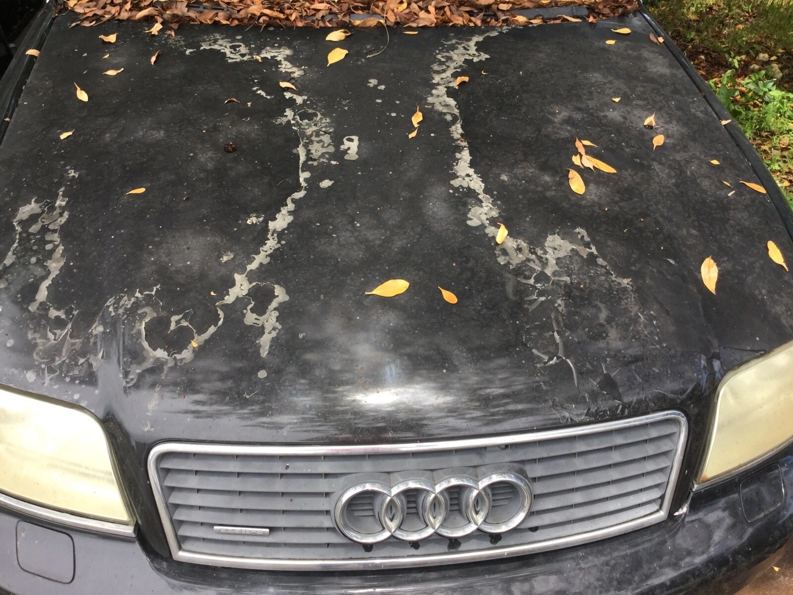 2002-2004 AUDI A6 S6 SEDAN FRONT PASSENGER DOOR RIGHT USED OEM LOCAL PICKUP - Image 2