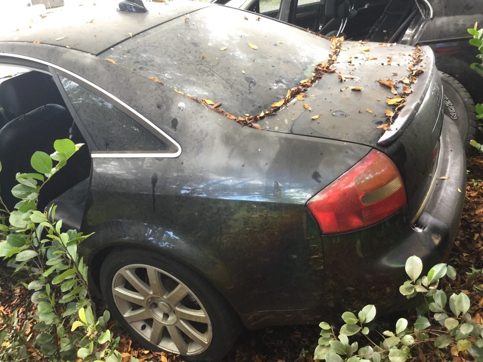 2002-2004 AUDI A6 S6 SEDAN FRONT PASSENGER DOOR RIGHT USED OEM LOCAL PICKUP - Image 6