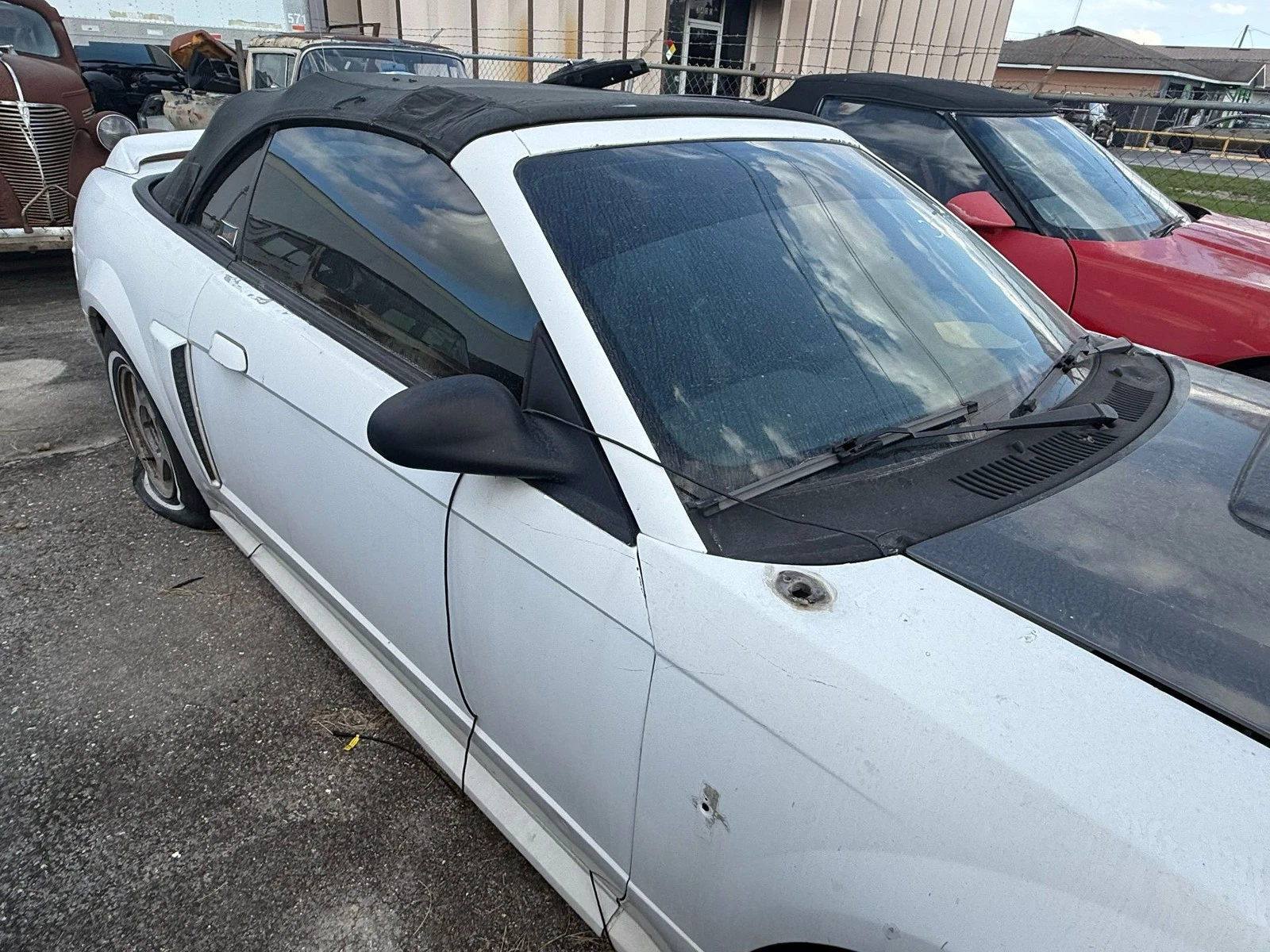 1999-2004 Ford Mustang GT Right Front Door White - Image 9