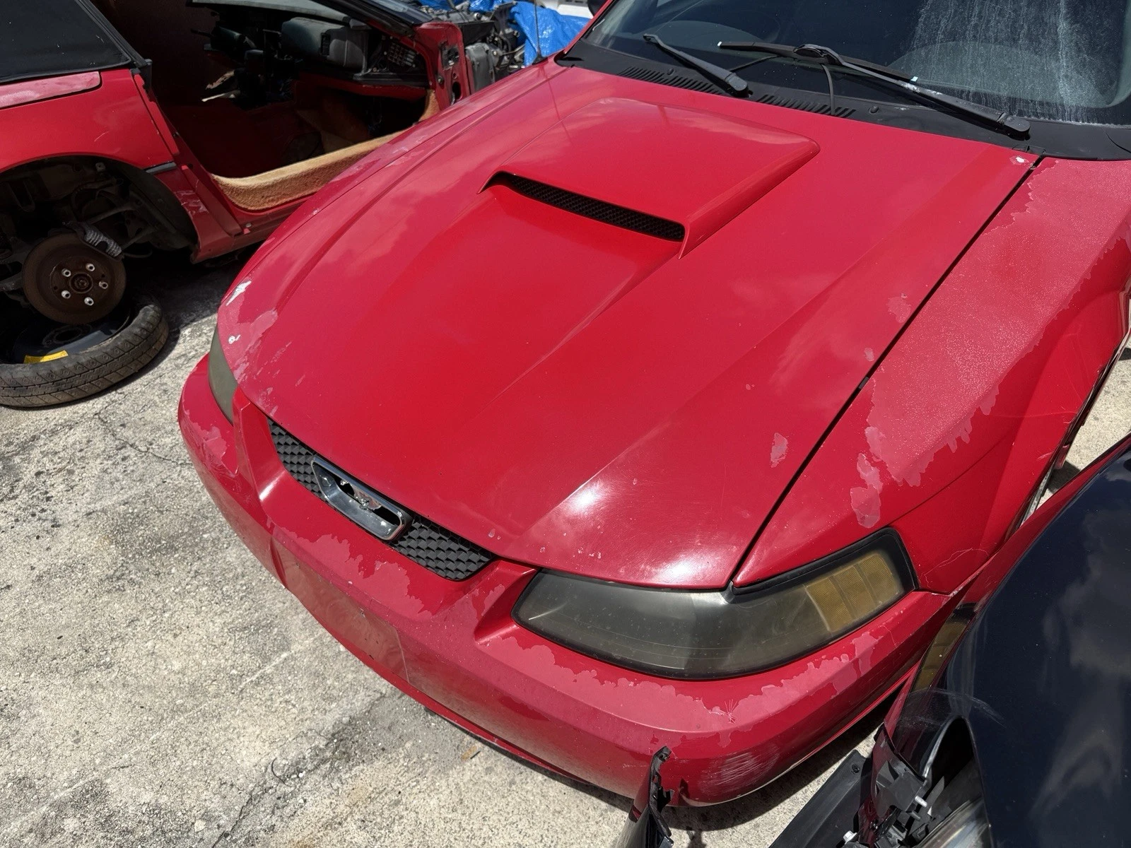 1999-2004 Ford Mustang GT OEM Parts Part Out Complete Car Ask For Parts - Image 11