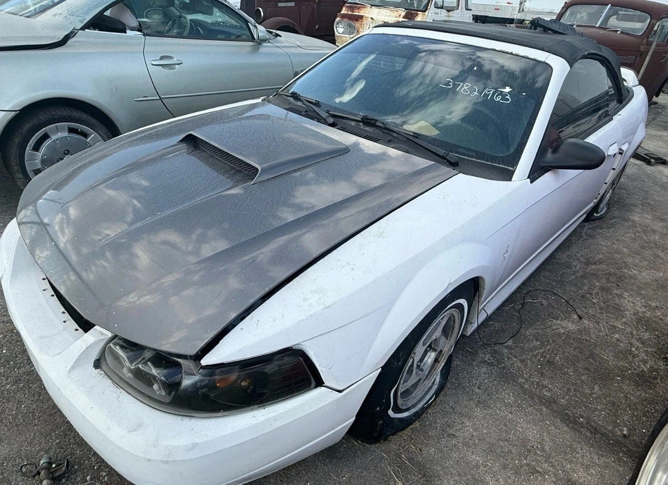 1999-2004 Ford Mustang GT OEM Parts Part Out Complete Car Ask For Parts - Image 5