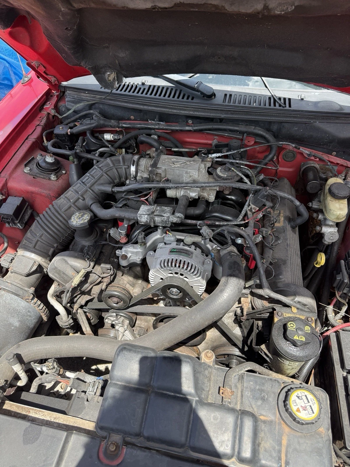 1999-2004 Ford Mustang GT OEM Parts Part Out Complete Car Ask For Parts - Image 3