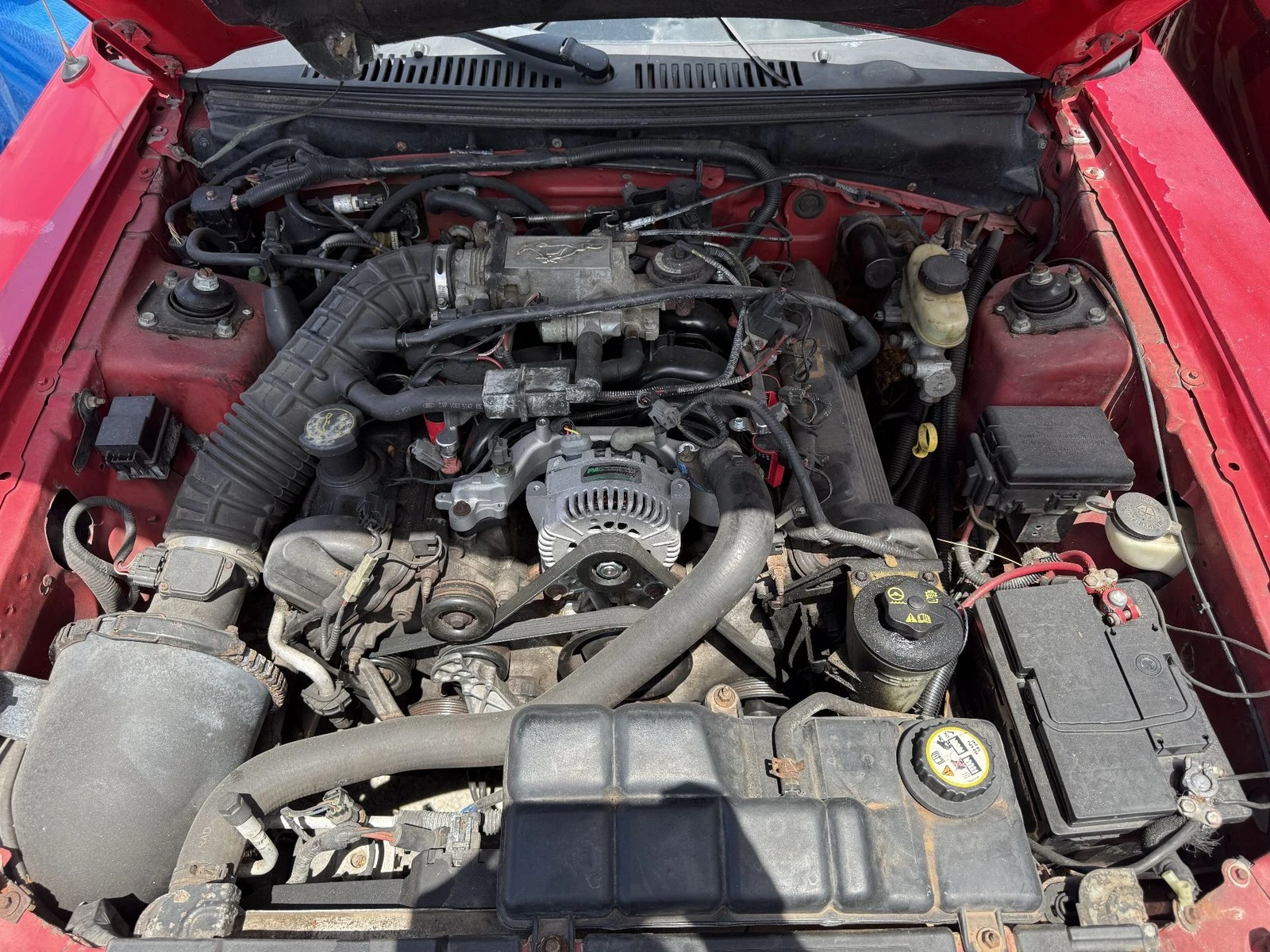 1999-2004 Ford Mustang GT Engine 4.6L VIN X (8th digit SOHC GT) - Image 3