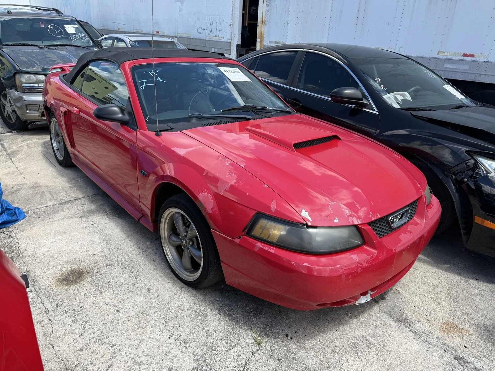 1999-2004 Ford Mustang GT Rear Bumper Cover - Image 6