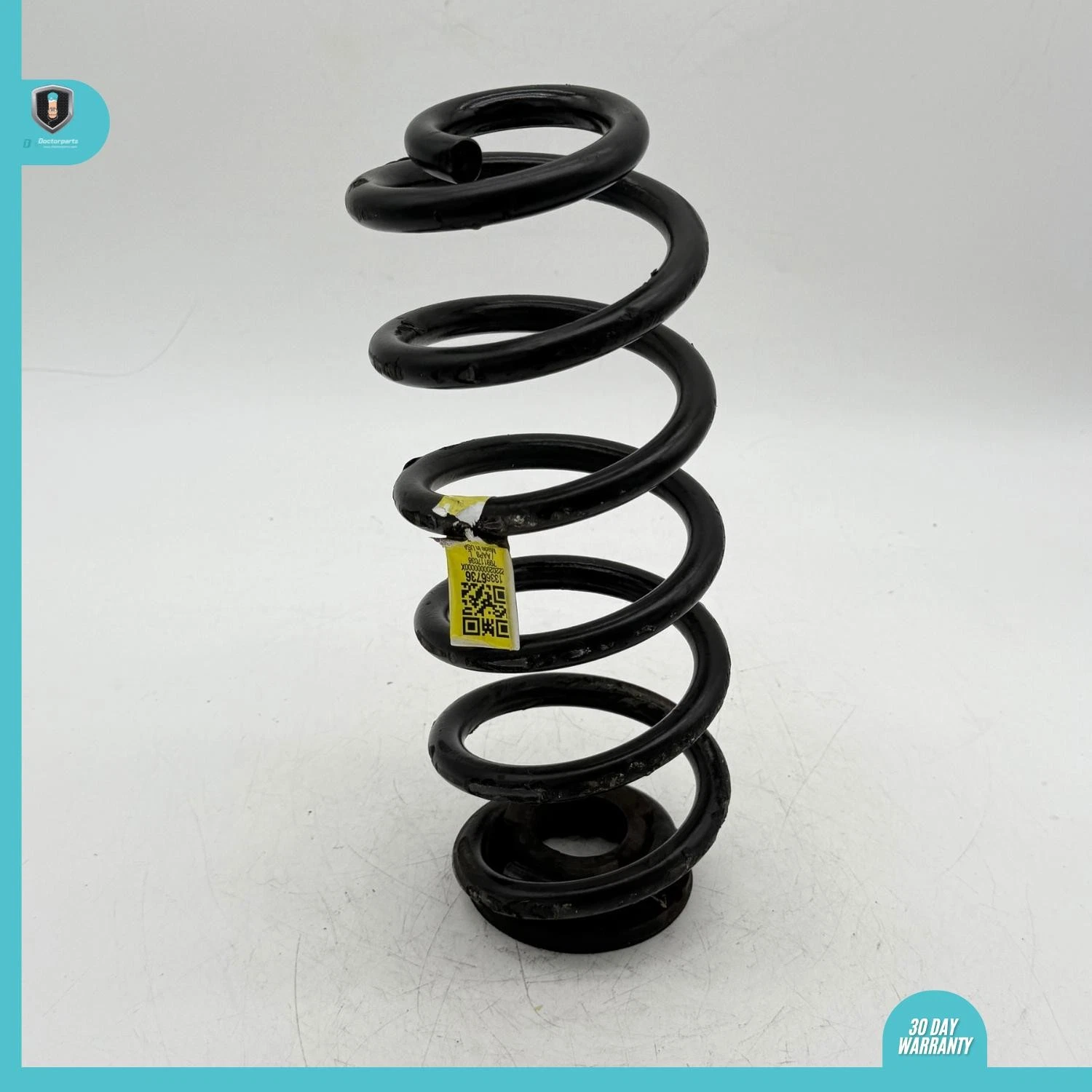 2016-2019 Chevrolet Chevy Cruze Rear Suspension Coil Spring 13366736 OEM