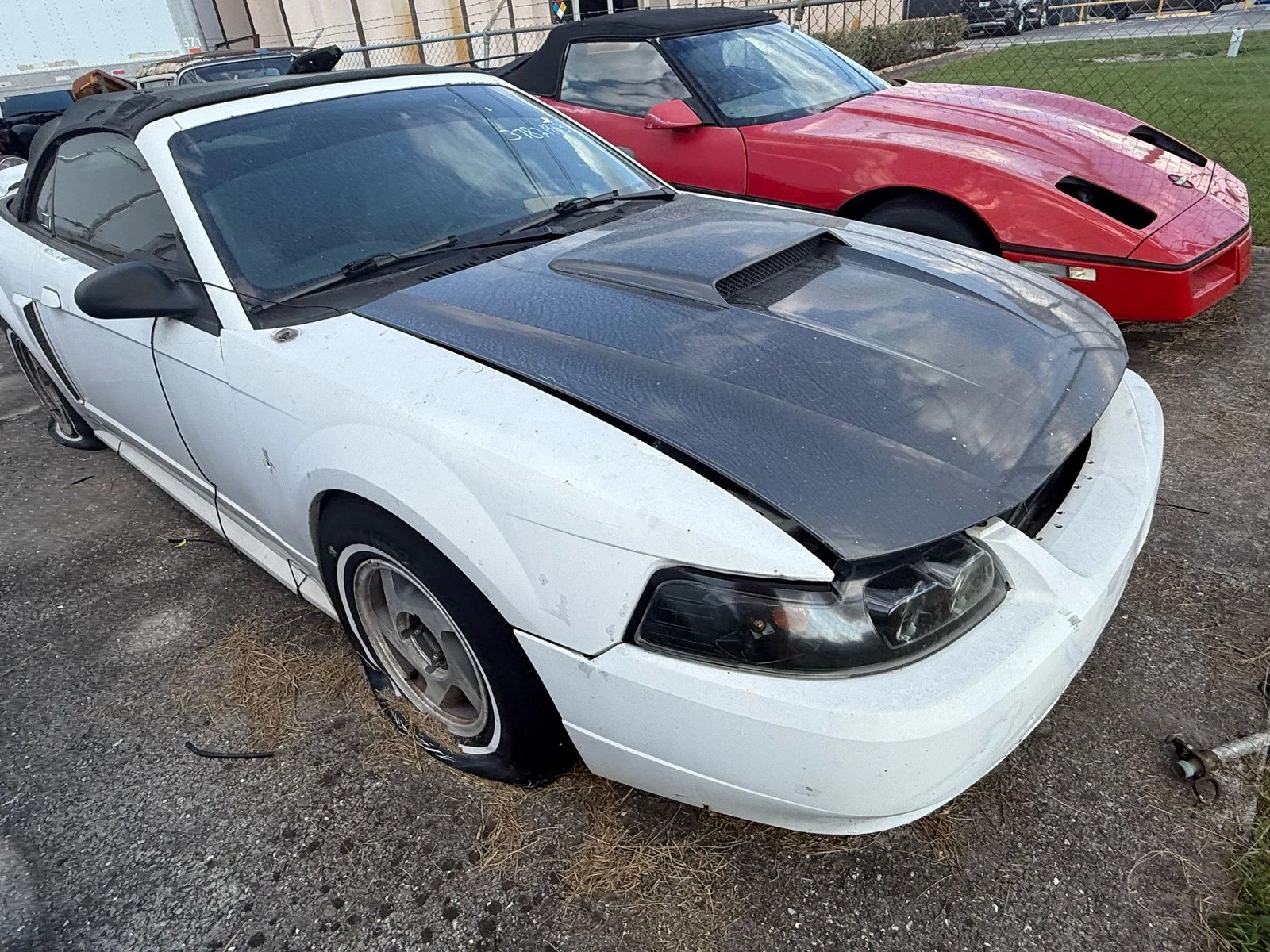 RH 1999-2004 Ford Mustang Driver Left Front Fender Oem - Image 2