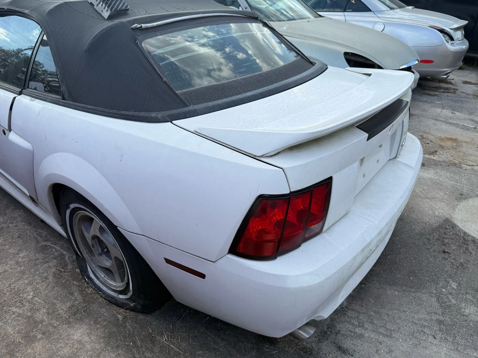 RH 1999-2004 Ford Mustang Driver Left Front Fender Oem - Image 3