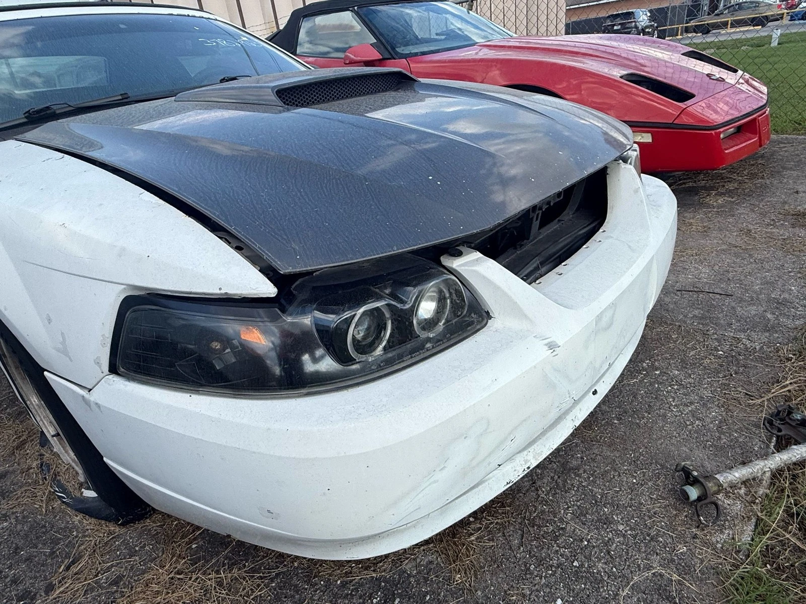 RH 1999-2004 Ford Mustang Driver Left Front Fender Oem - Image 7