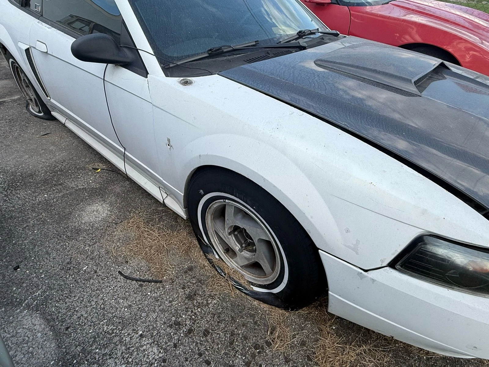 RH 1999-2004 Ford Mustang Driver Left Front Fender Oem - Image 8